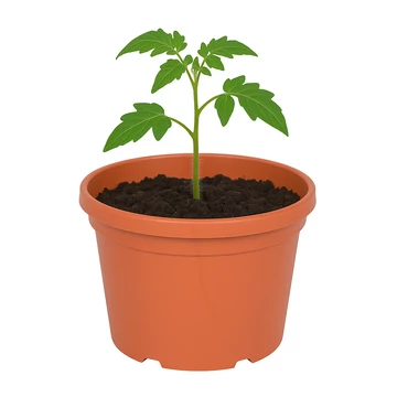 Virágcserép palántákhoz 18 cm terrakotta