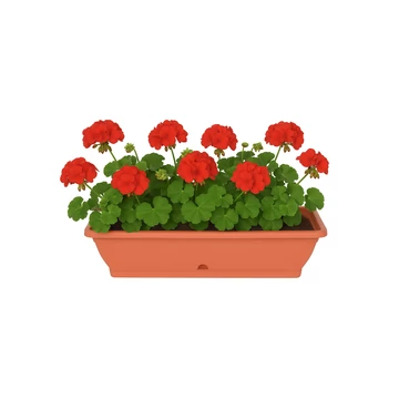 Virágláda 60 cm terrakotta