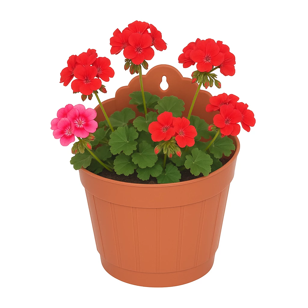 Virágkaspó fali 15 cm terrakotta